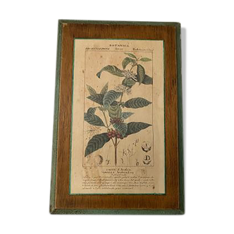 Botanica wooden plank frame