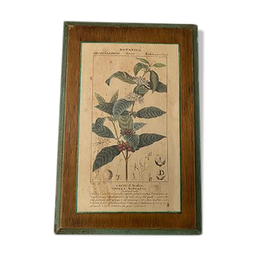 Botanica wooden plank frame