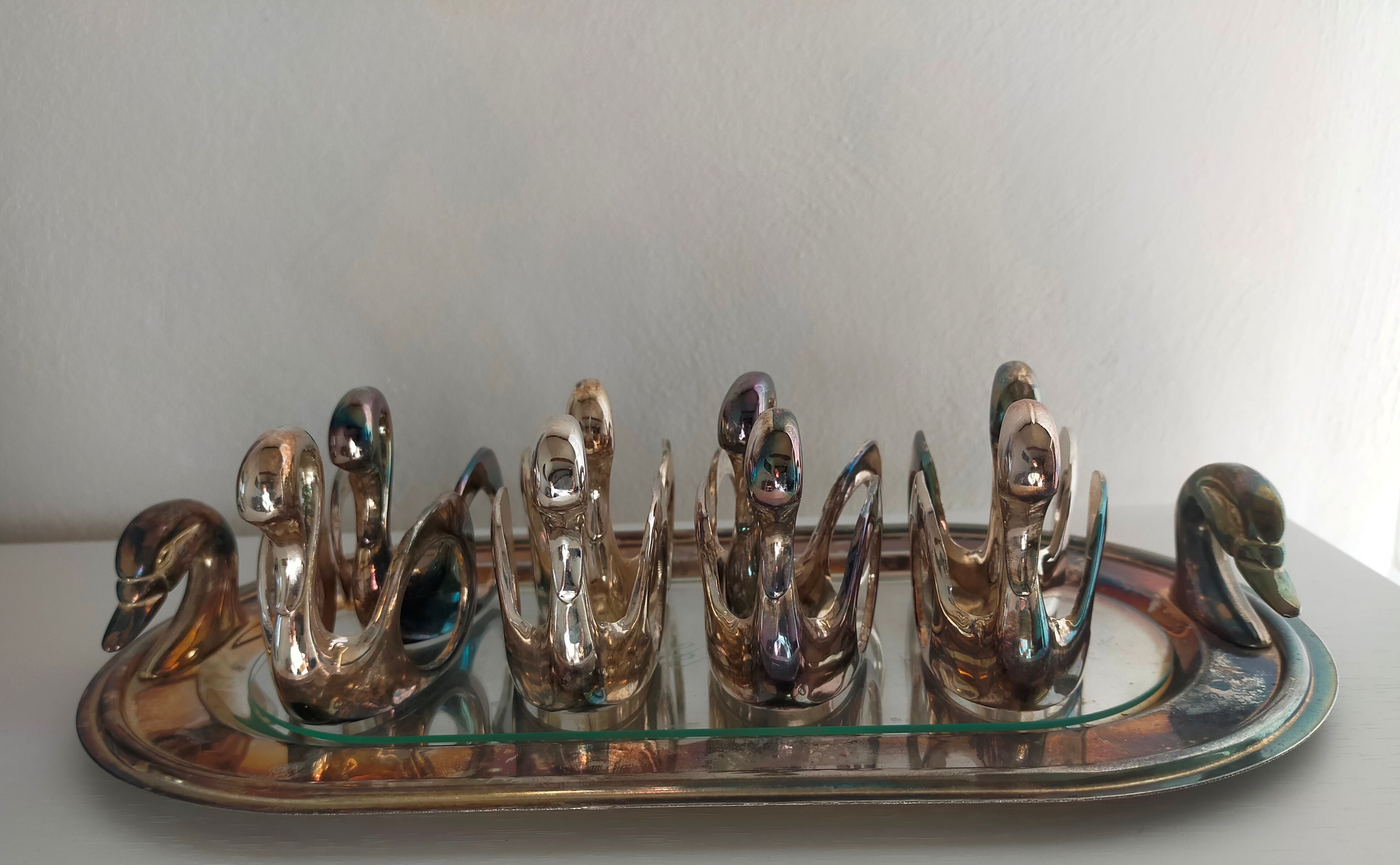 Silver metal foie gras set