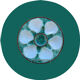 6 Longchamps shell-patterned earthenware plates