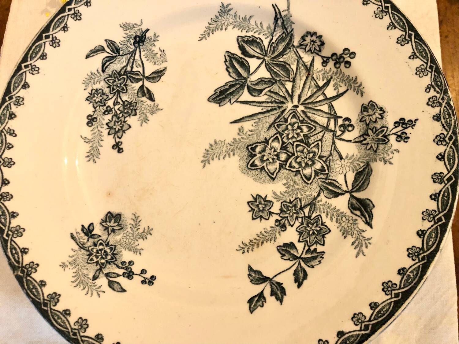 Saint Amandinoise ironstone plate set
