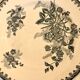 Saint Amandinoise ironstone plate set