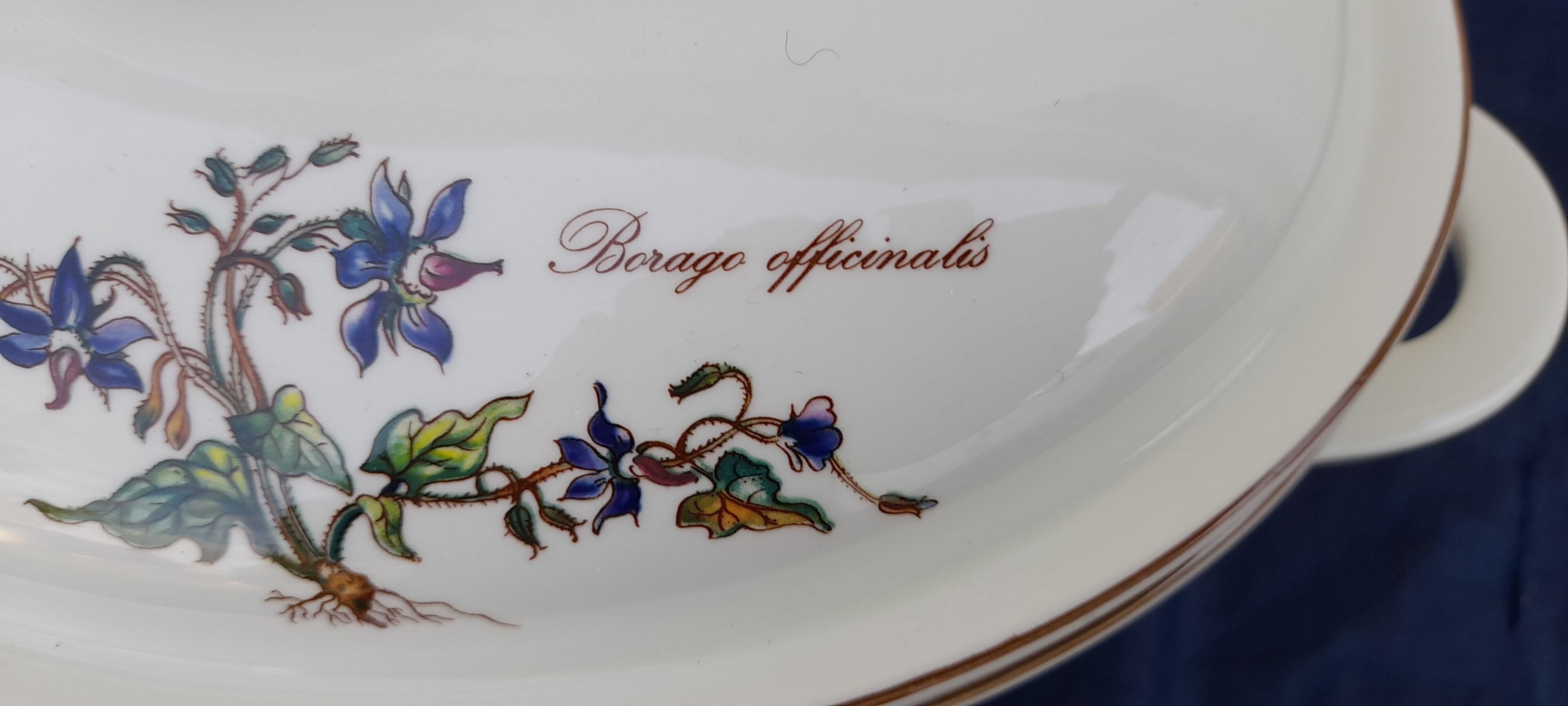 Oven dish Vilbofour Botanica porcelain fire L 34 cm Villeroy & Boch