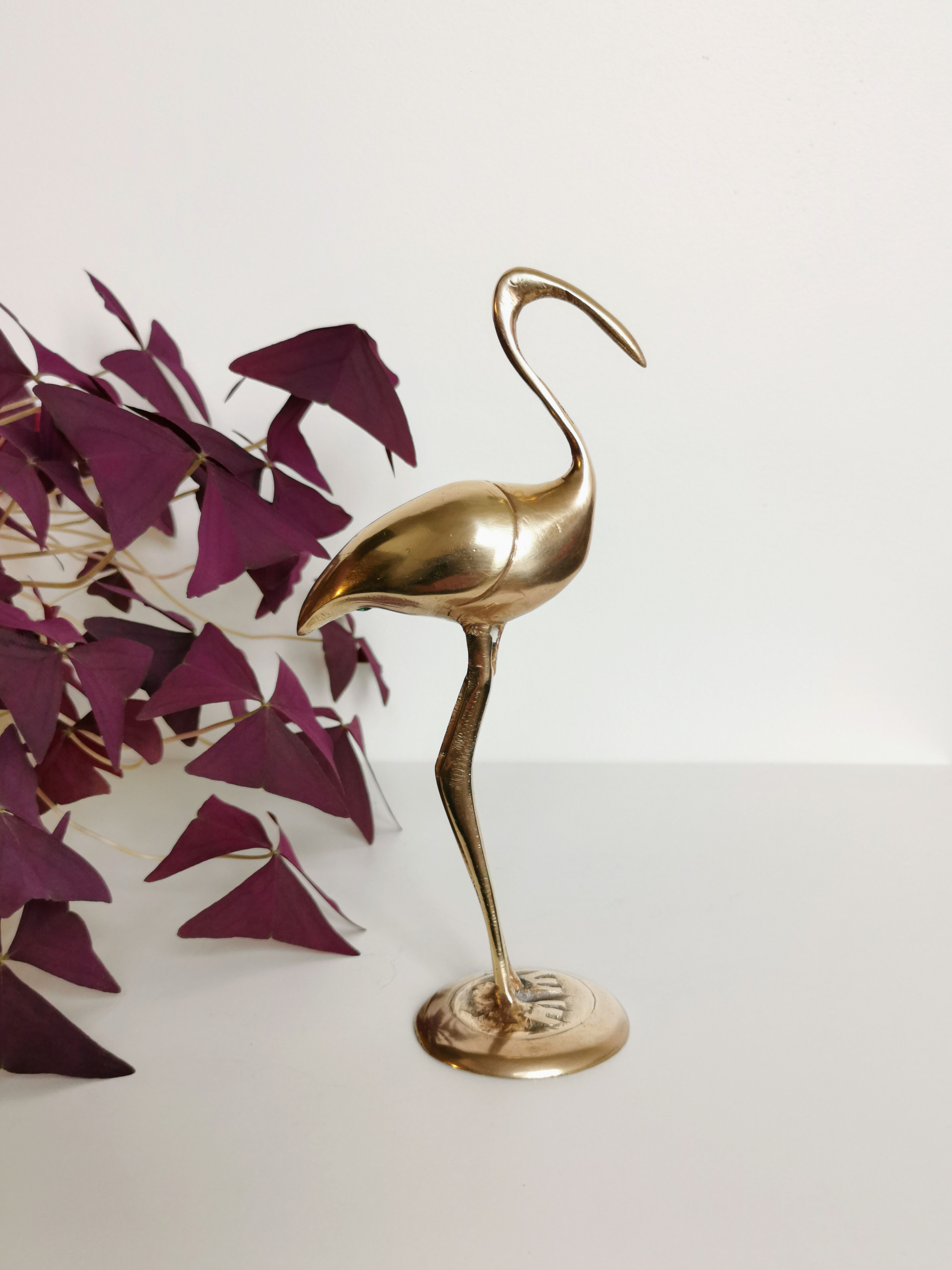 Brass Ibis
