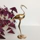 Brass Ibis