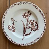 Mismatched set of 6 old flat plates