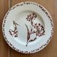 Mismatched set of 6 old flat plates