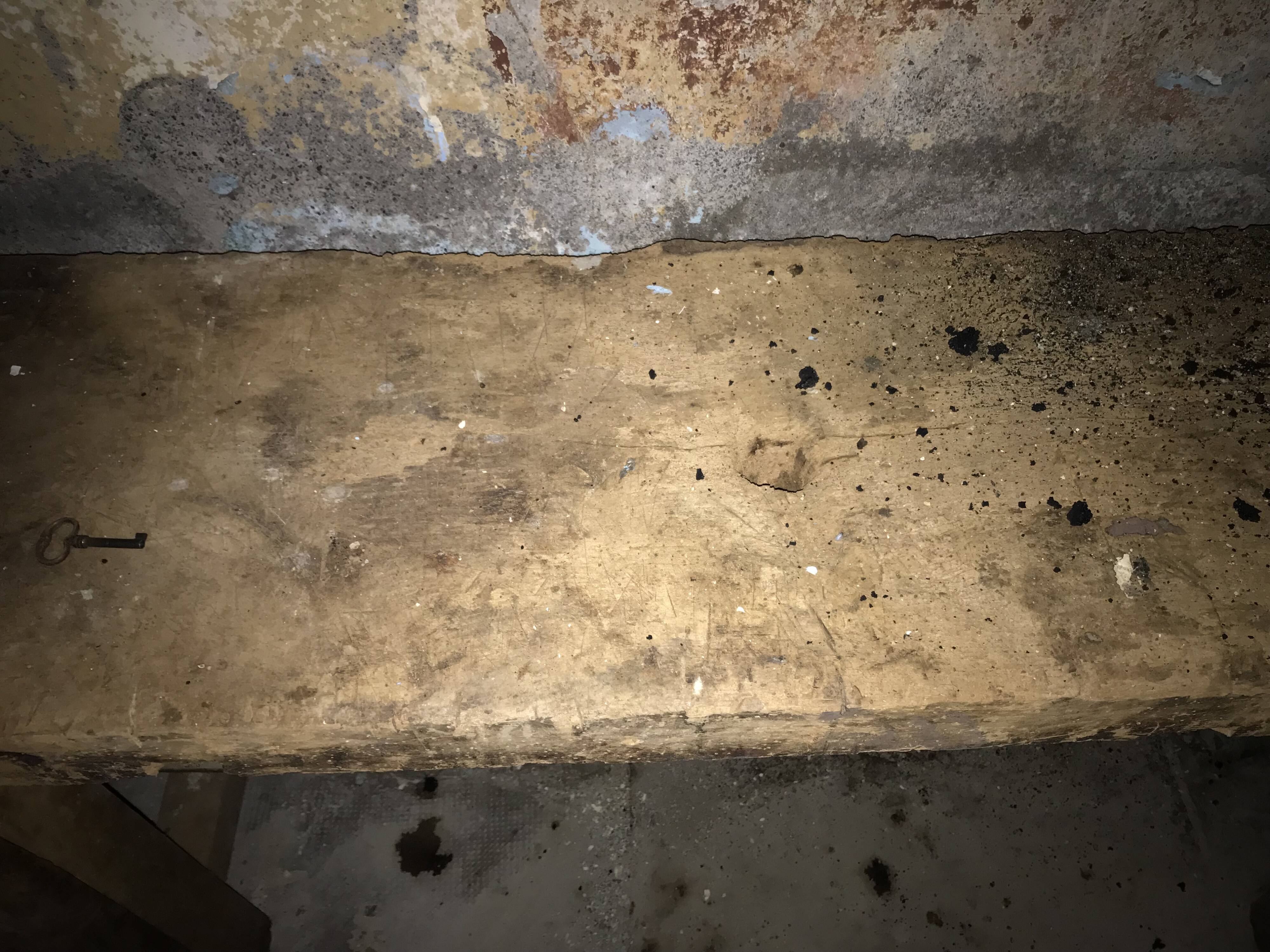 Carpenter's workbench