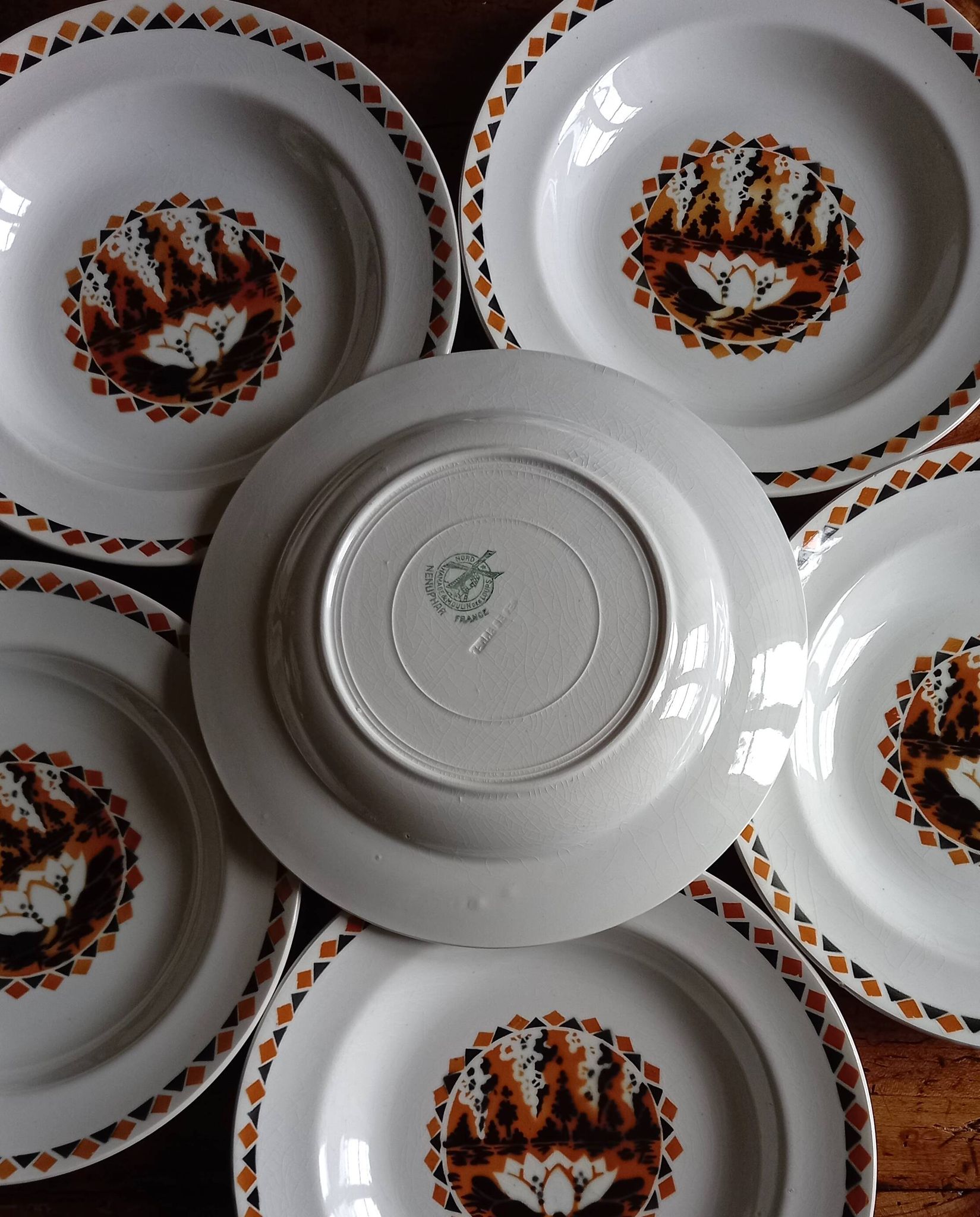 Set of 10 large ironstone Art Deco plates Saint-Amand Water Lily