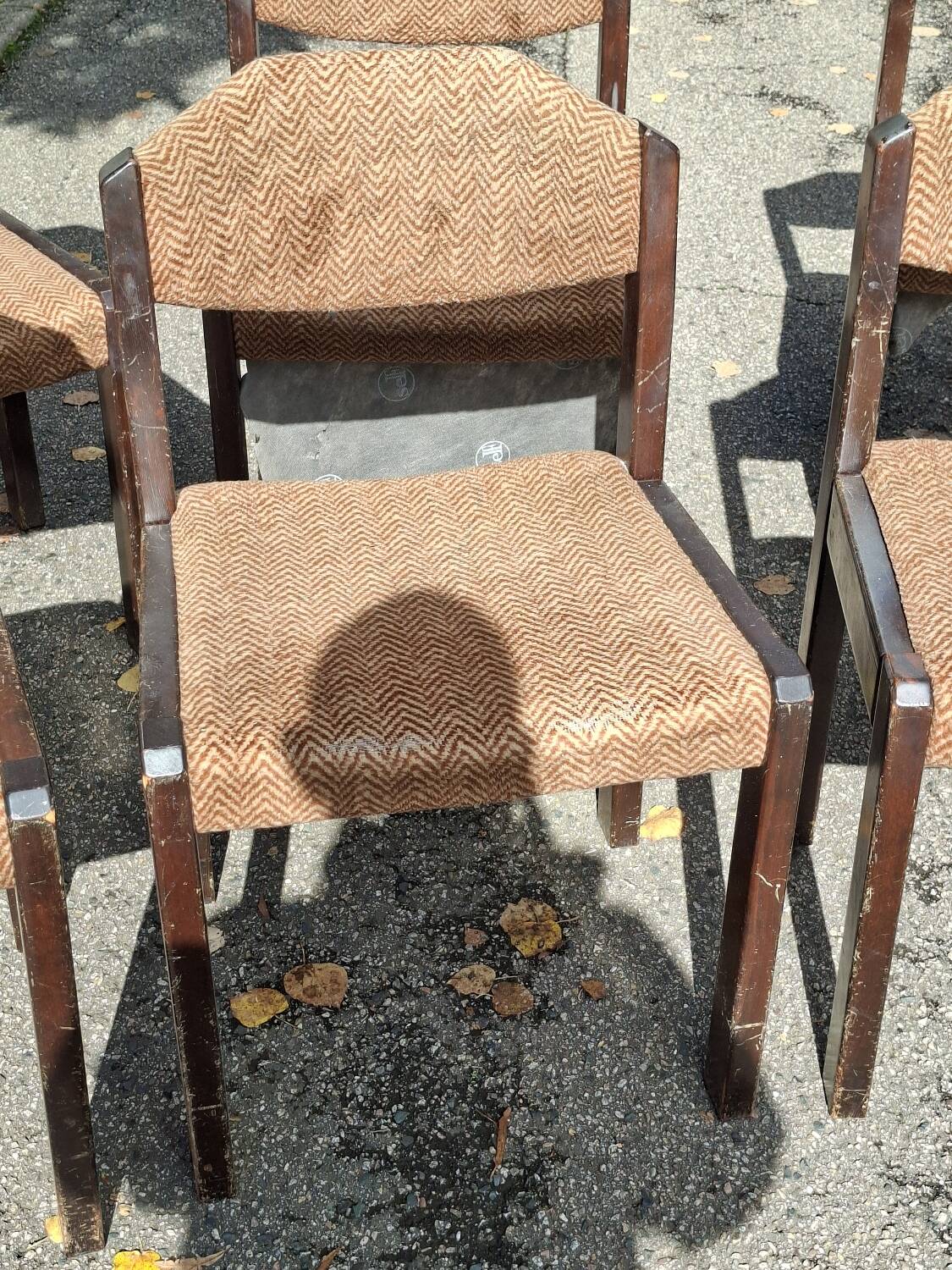 Six wooden Self chairs