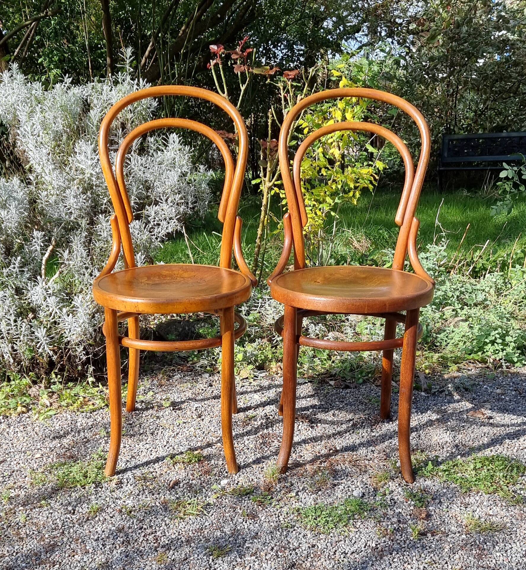 Pair of bistro chairs n°14 by Fischel austria bers 1915