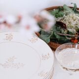 Set of opaque porcelain plates 'Raphael' from the French manufacturer Digoin-Sarreguemines