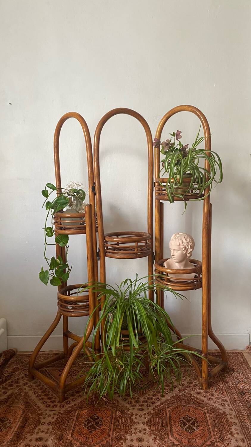 Rattan plant stand screen