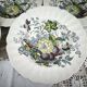 Set of 5 Royal Doulton deep plates in the Kirkwood pattern.