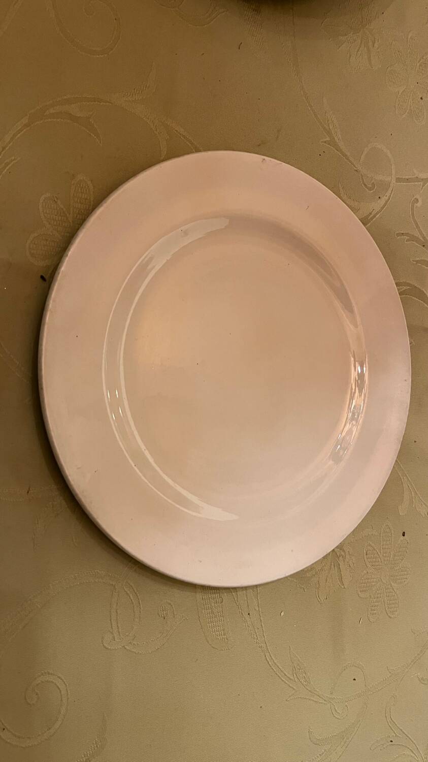 Set of 12 Churchill white dinner plates