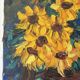 Basket of sunflowers, knife oil