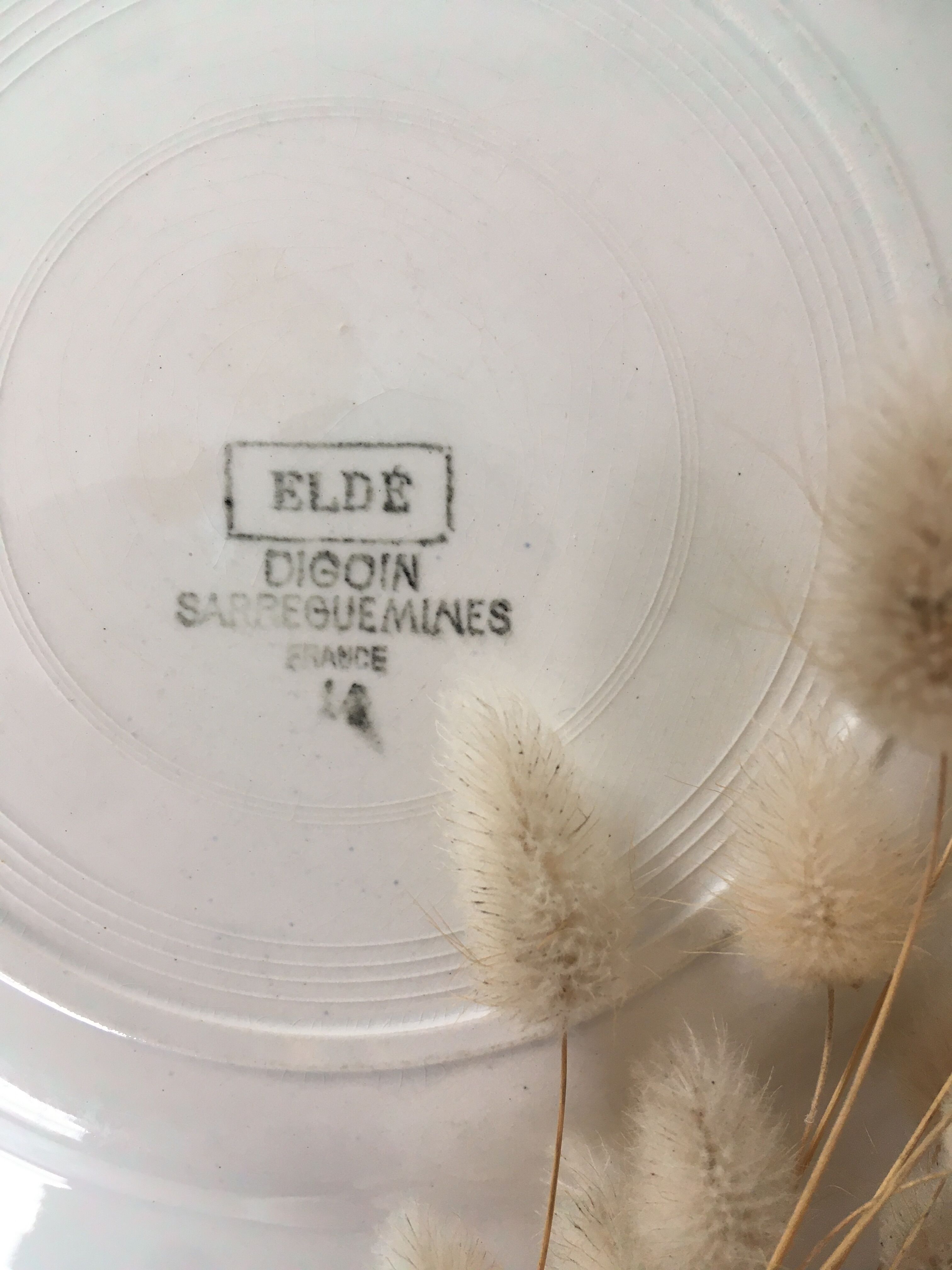 Blue & white mismatched flat plates