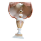 Vintage beige marble onyx lamp