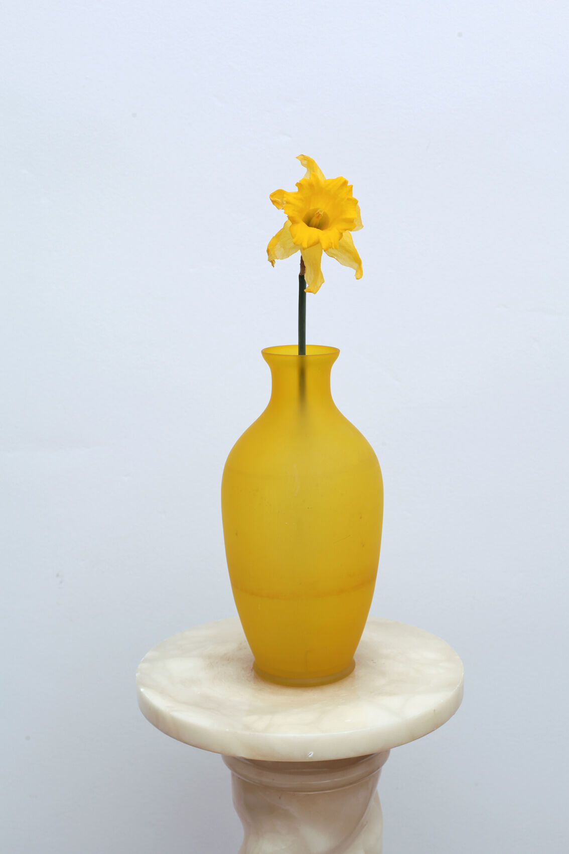 Yellow shortbread vase