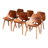 Set of 6 'Tonneau' dining chairs by Pierre Guariche