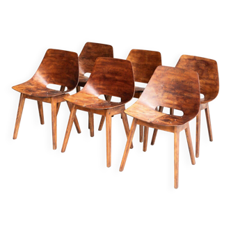 Set of 6 'Tonneau' dining chairs by Pierre Guariche
