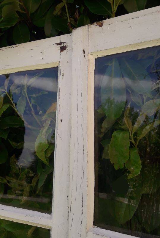 Lot of 4 oak windows H141xL112/117cm old small panes