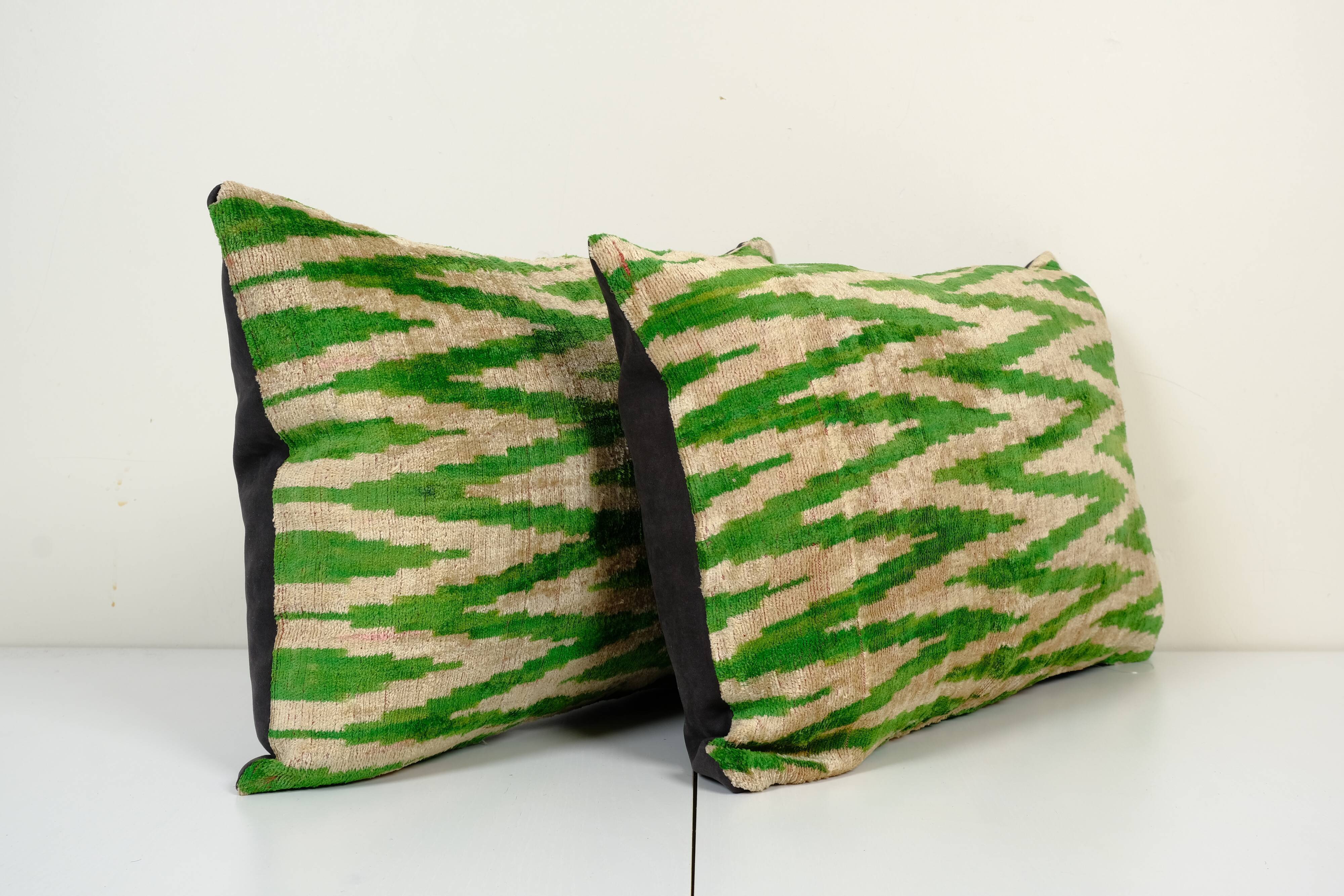 Paire de coussins