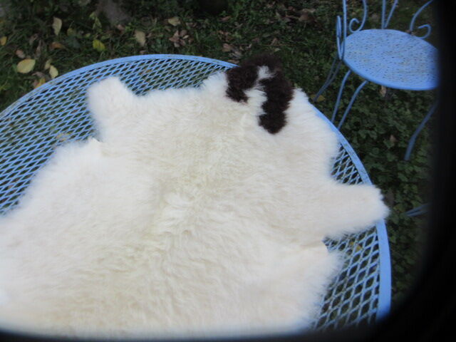 Sheepskin