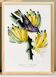 Poster featuring a tanagara tree and a bunch of bananas, based on an engraving