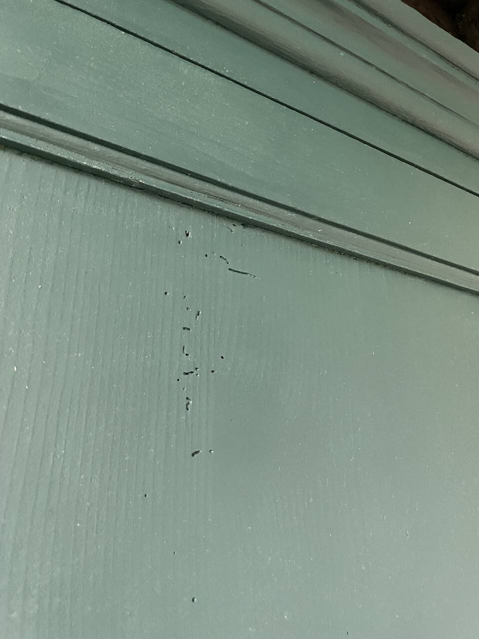 Green hosiery cabinet