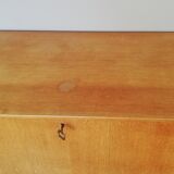 Scandinavian Secretary 1960
