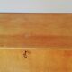 Scandinavian Secretary 1960