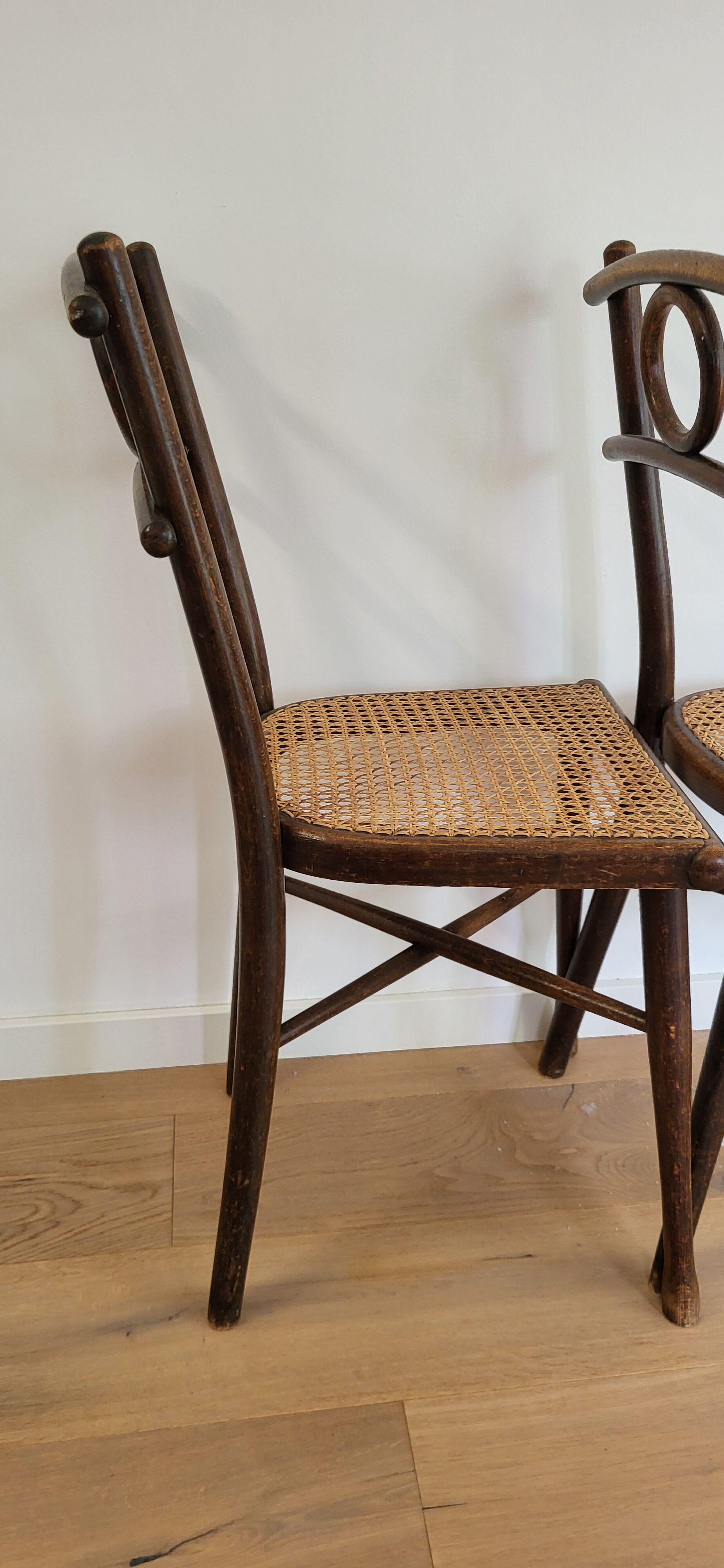 Thonet chairs