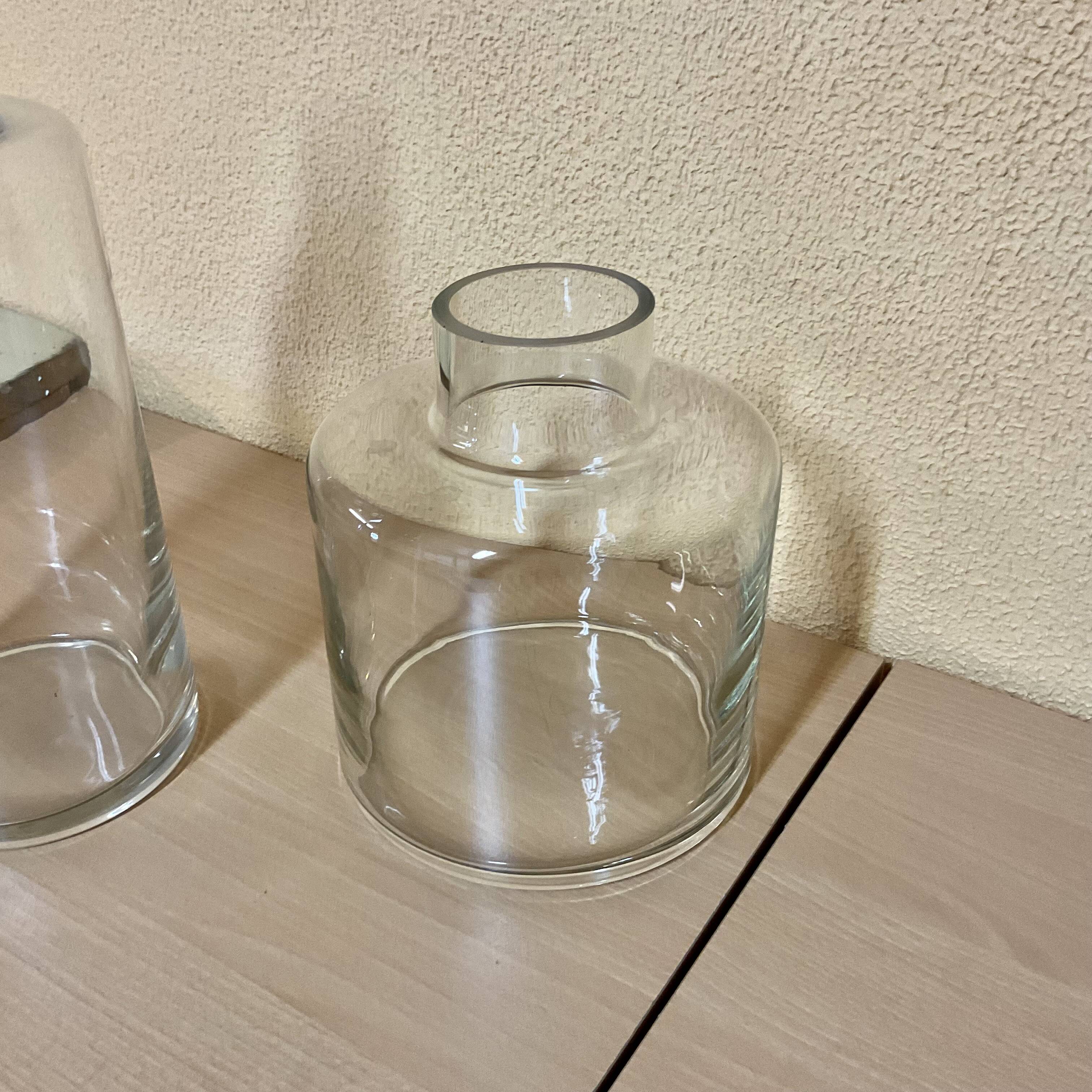 Pair of Designer glass vases