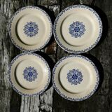 Assiettes en terre de fer