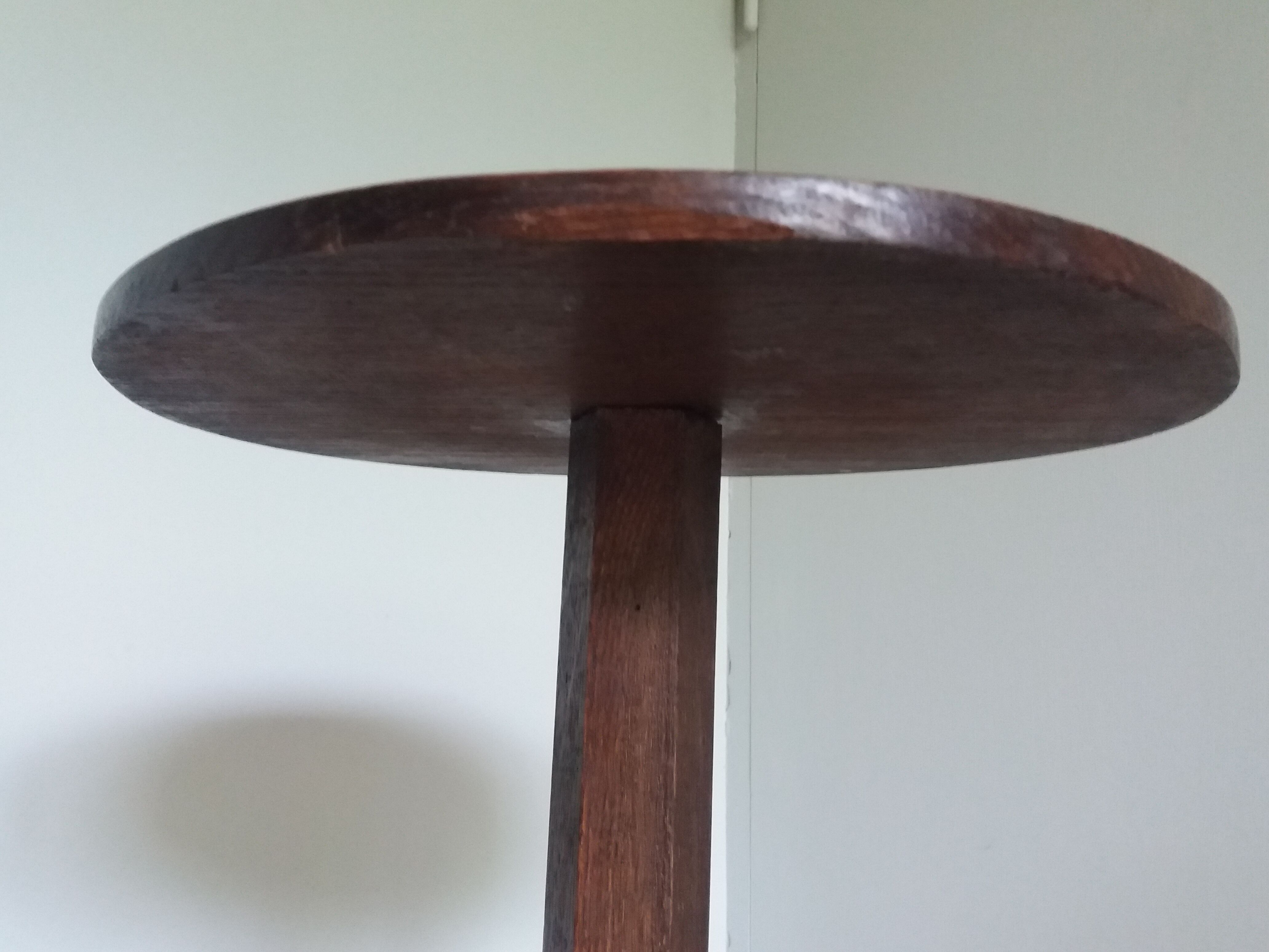 Tripod harness plant holder