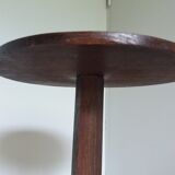 Tripod harness plant holder