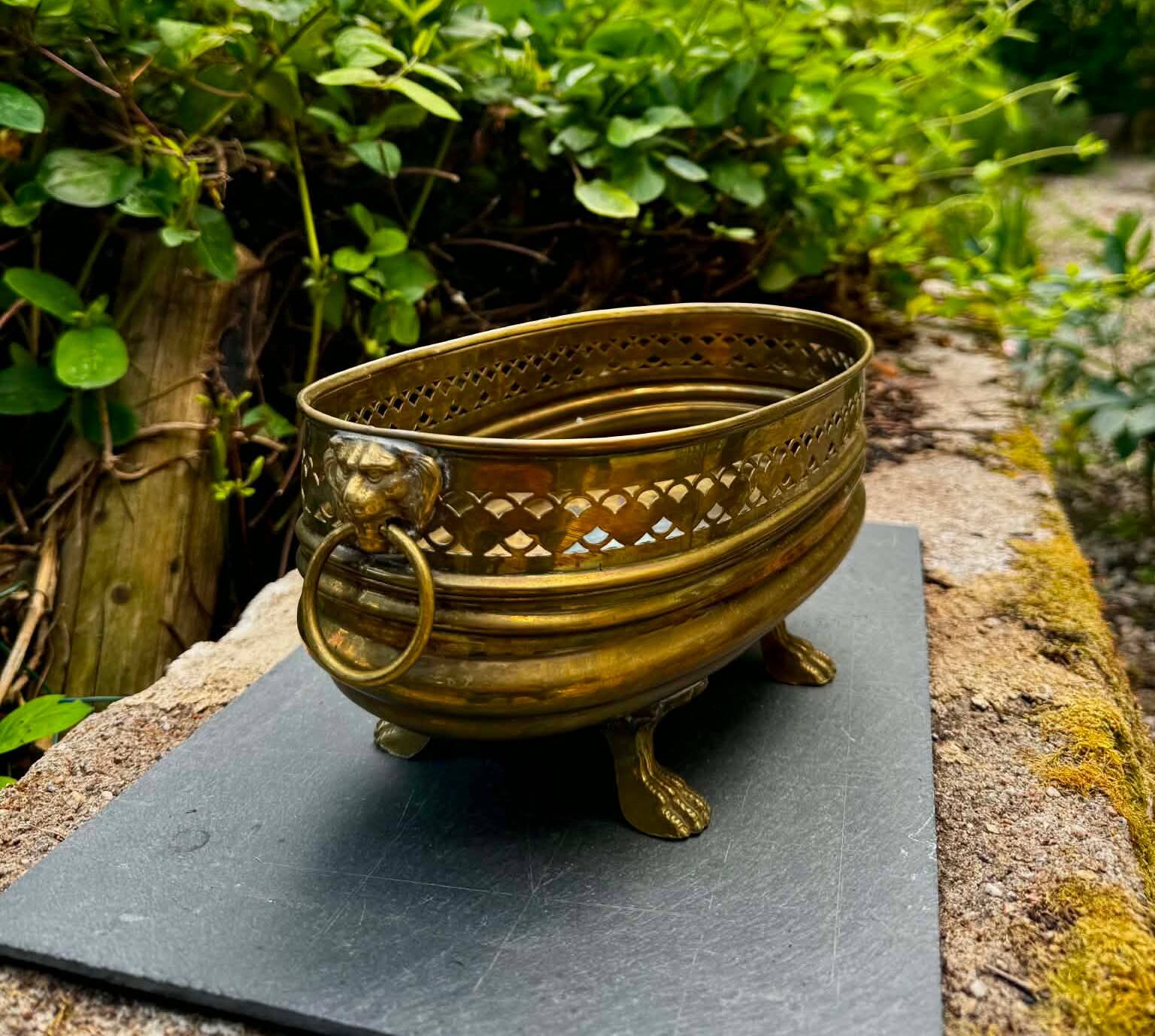 Baroque lion brass planter