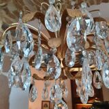 Palwa chandelier with grapevines