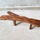 Brutalist trunk tree coffee table or bench, 1960s