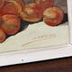 Nature morte, aquarelle, panier aux abricots
