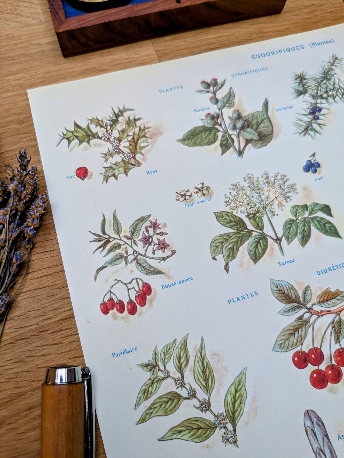 Medical plant board, printed in 1954