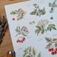 Medical plant board, printed in 1954