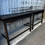 Pair of black patinated consoles