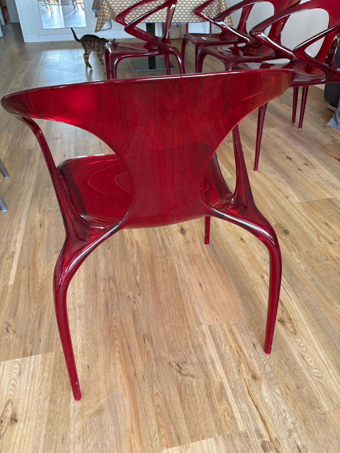 Roche Bobois chairs