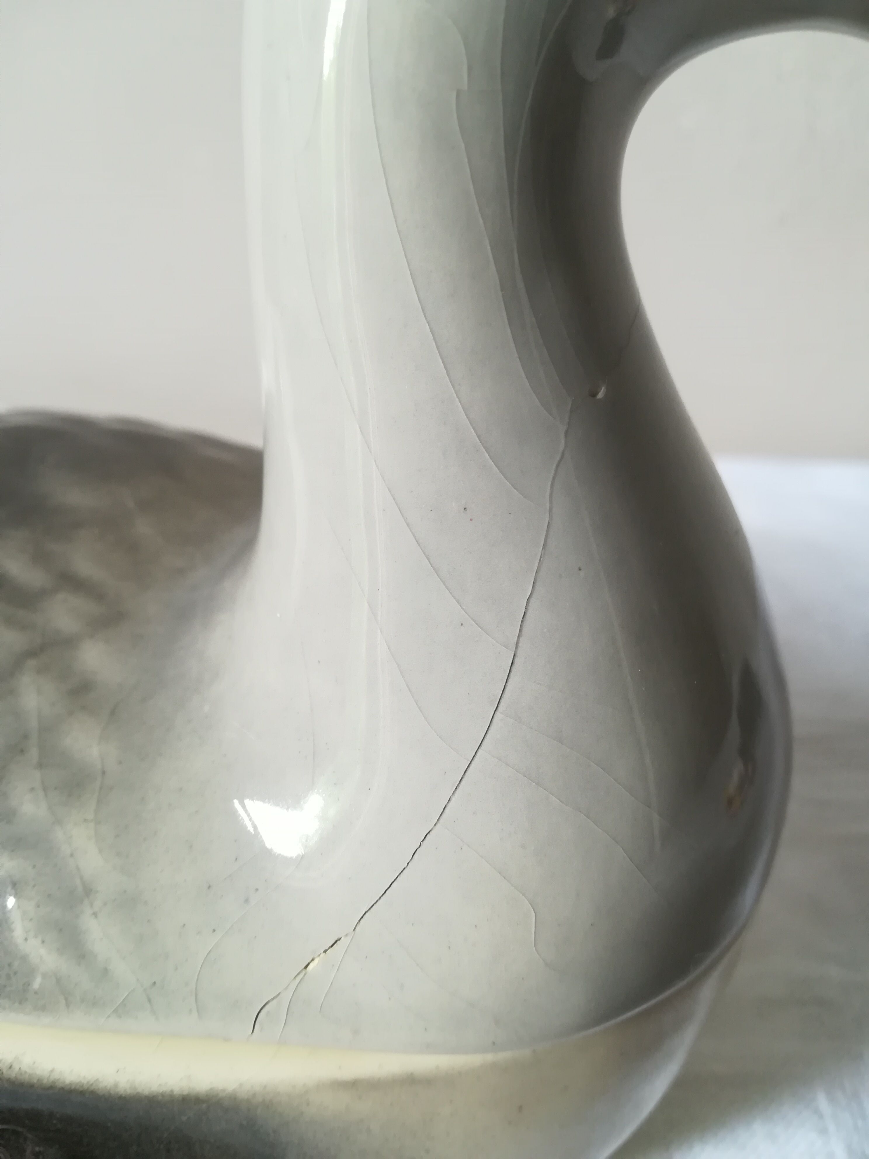 Dish in dabbling with goose