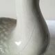 Dish in dabbling with goose