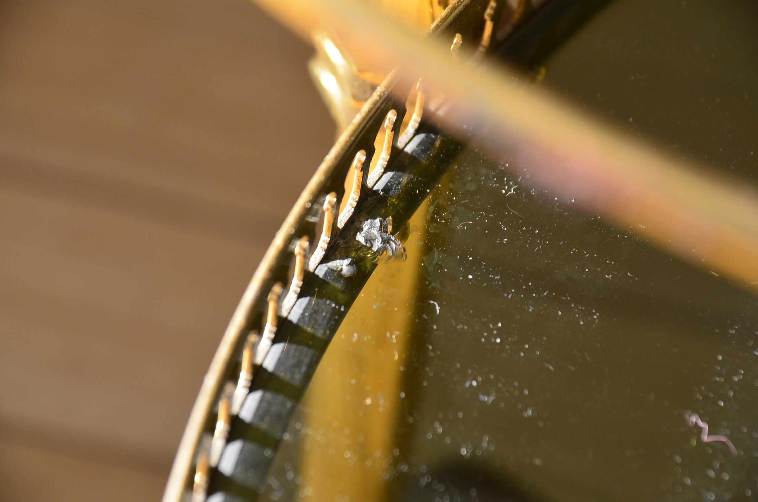 Skateboard brass glass 60 years serving