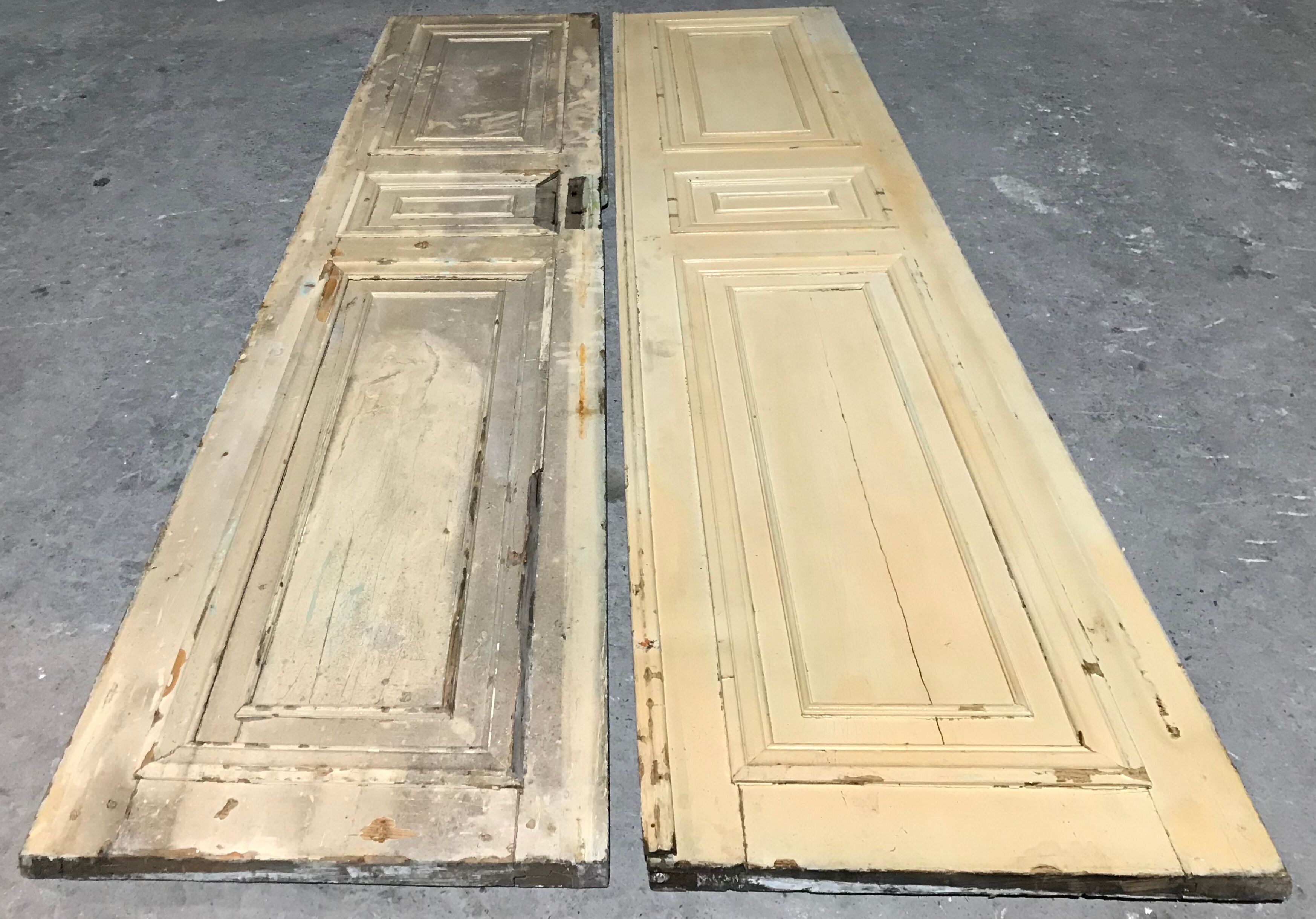 Nineteenth century door pair