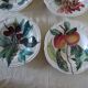 6 hollow plates fruit poetry 360112 princess line